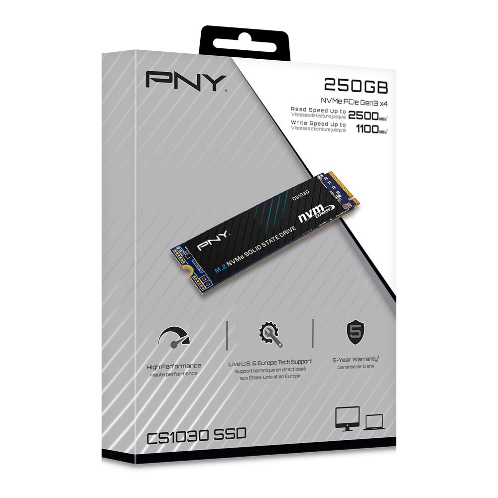 PNY NVME 250 GB (CS1030 SSD)
